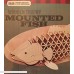 3D Mounted Trophy Fish 52 piece Wooden Puzzle B01BG8ZZ2C